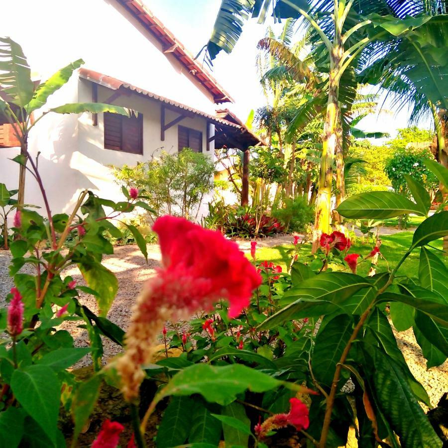 Tropicana Village São Miguel do Gostoso Exterior foto